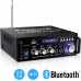 Sunbuck Sistema amplificador estéreo inalámbrico Bluetooth – 110 V 180 W 2 canales receptor de audio con USB, tarjeta SD, RCA(AS-29BU)