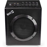 RockJam Amplificador de guitarra eléctrica de 20 vatios con entrada de auriculares, ecualizador de tres bandas, sobremarcha y ganancia de potencia