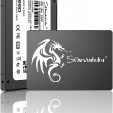 Somnambulist SSD 1TB 2.5 0.276 in 0.28 SATA III 6Gbs Disco duro interno de ...